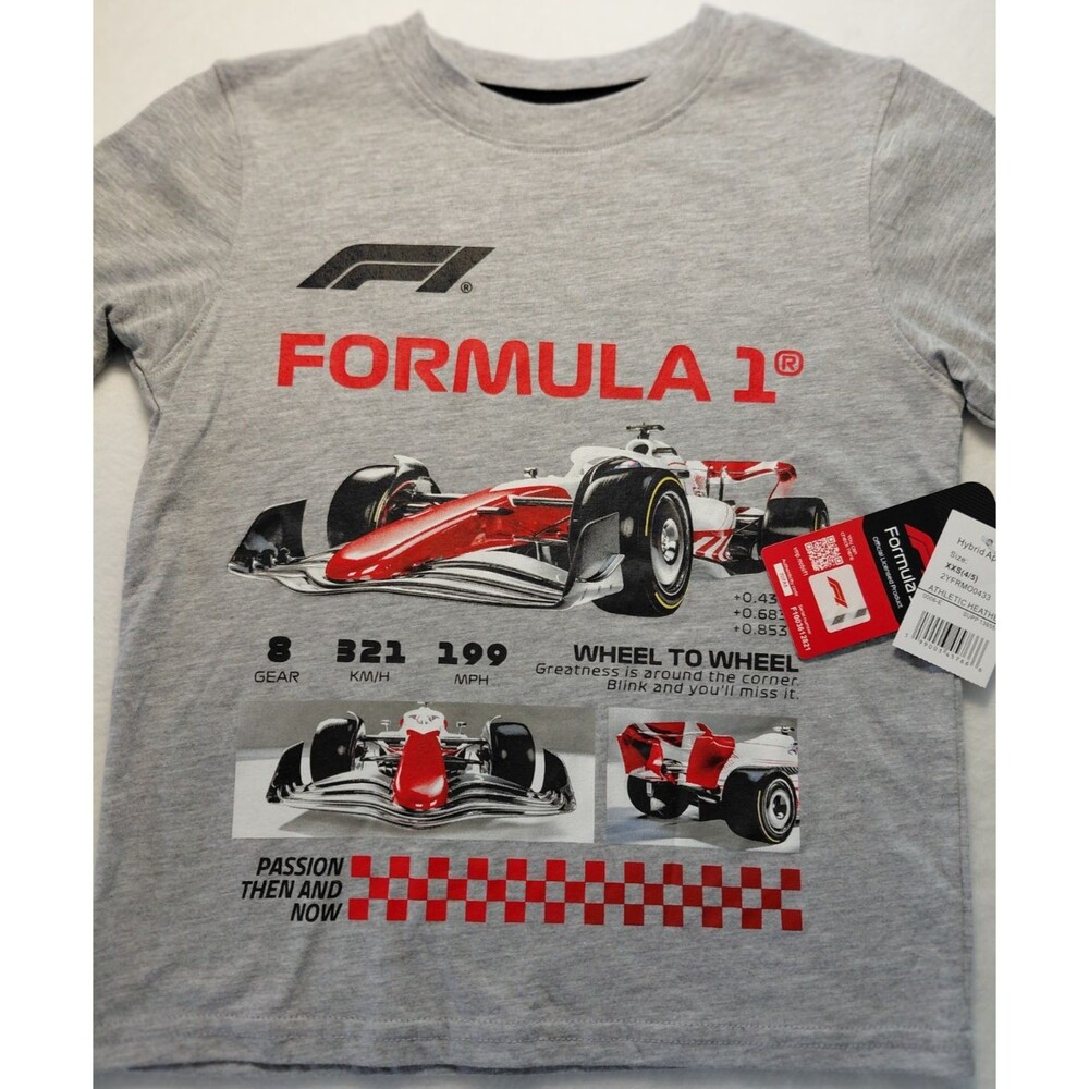 Formula One T-Shirt Gray